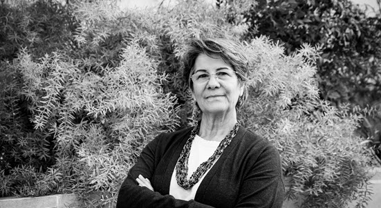 Dianna Baird Access to Government